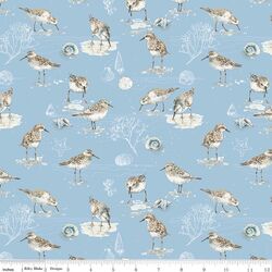 Birds in Blue