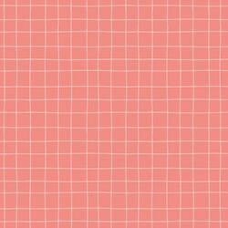 Painted Check in Pink Bloom