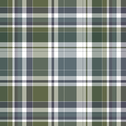 Mountain Plaid in Forest
