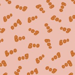 Spooky Speech in Powder Peach