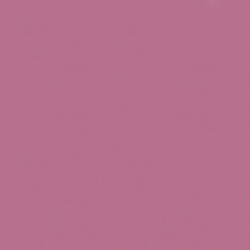 Bella Solids in English Rose