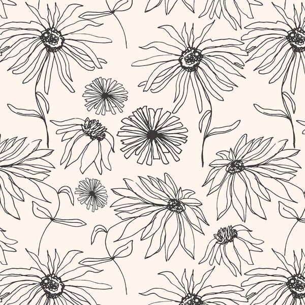 Aster Sketch in Faded Black on Cloud