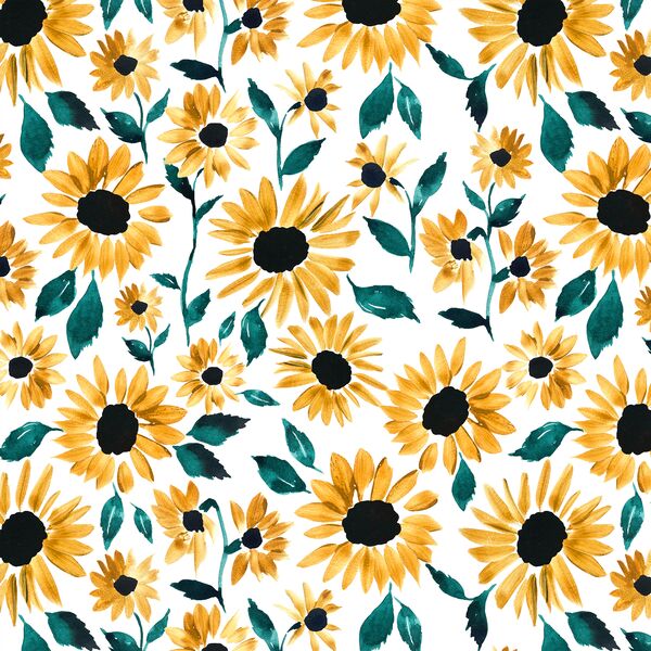 Small Blooming Sunflowers in Sunset Garden