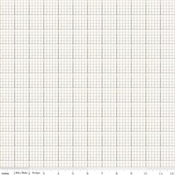 Graph Paper in Gray