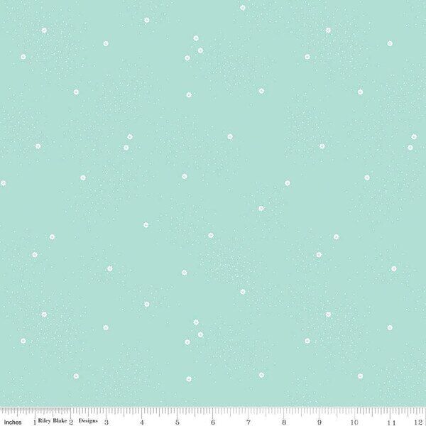 Dainty Daisy in Songbird