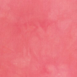 Palette in Cactus Rose