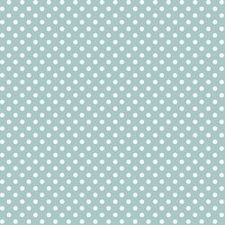 Tiny Dot in Aspen