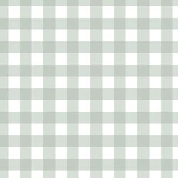 Gingham in Mint