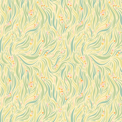 Grassy Meadows in Shine