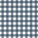 Gingham in In the Navy