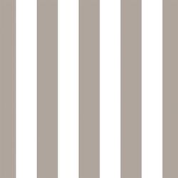 Play Stripe in Taupe