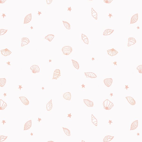 Seashells in Coconut
