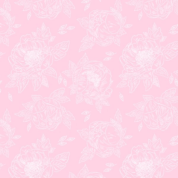 Sketched Peony in Wild Rose