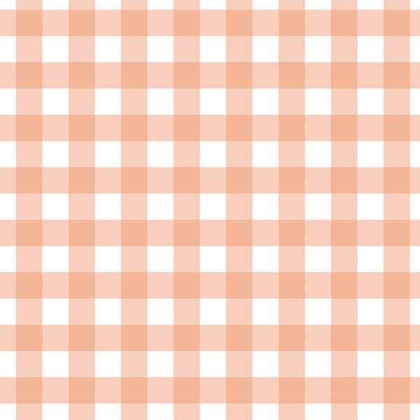 Gingham in Deep Peach