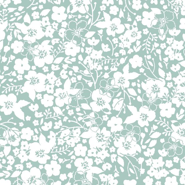 Forget Me Not in Aspen