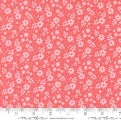 Petaline in Flamingo