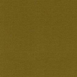 Bella Solids in Kelp