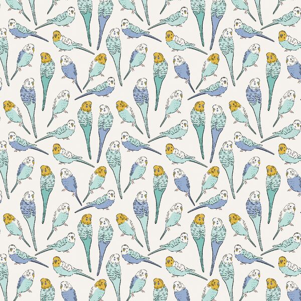Little Parakeet Sketches in Sky