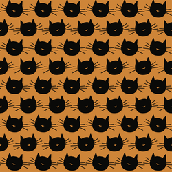 Scaredy Cat in Orange