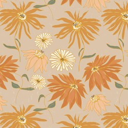 Aster in Sable
