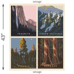 California Pillow Panel (2023)