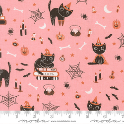 Cats in Candy