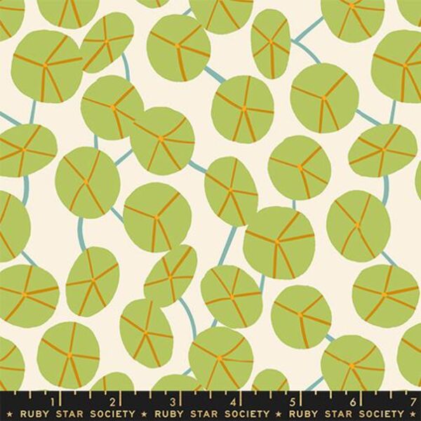 Pilea in Natural