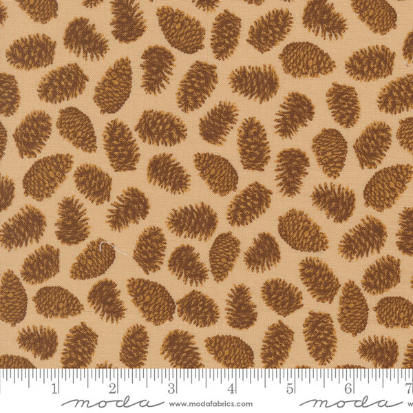 Pinecones in Sand