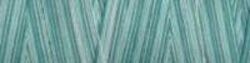 Turquoise Foam - Variegated