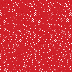 Starry in Holly