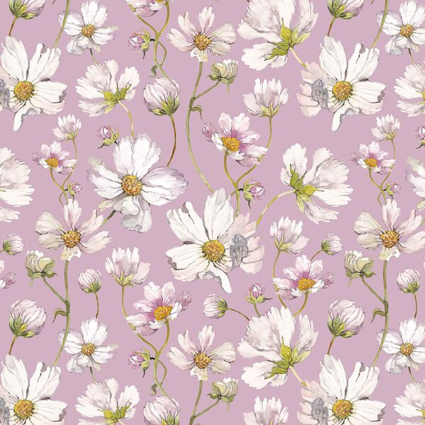 Spring Cosmos in Wisteria
