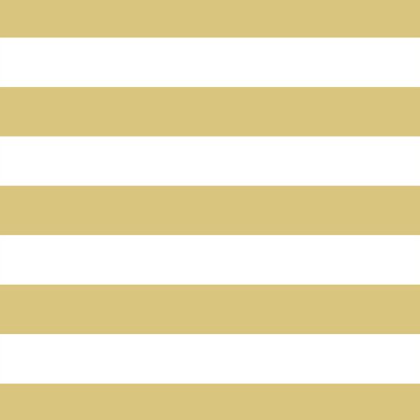Horizontal Play Stripe in Honey