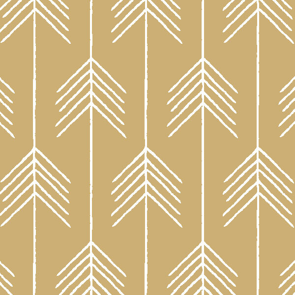 Vanes in Golden Canyon