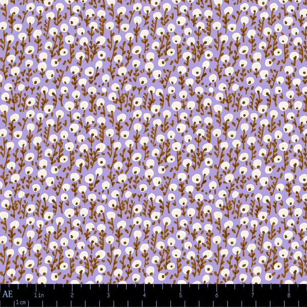 Seedling Drift in Evening Crocus