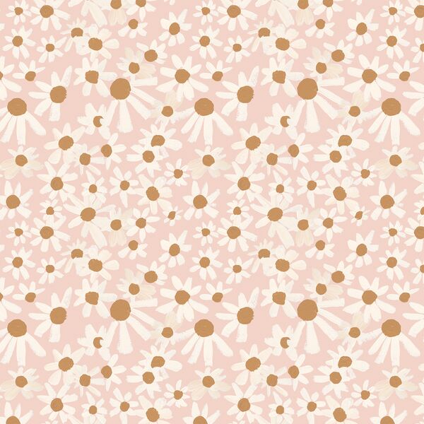 Little Brown Eyed Suzies in Daydream