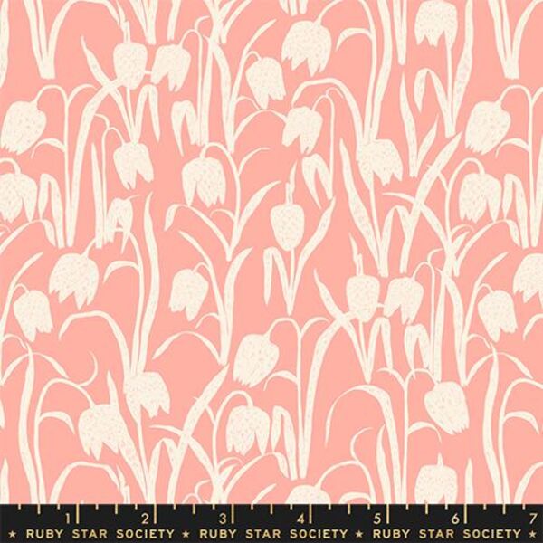 Fritillaria in Pink