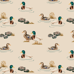 Waterfowl in Wild