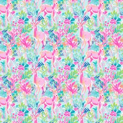 Little Island Fauna in Reef