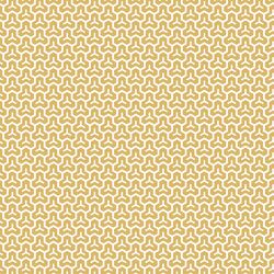 Honeycomb in Sunlight