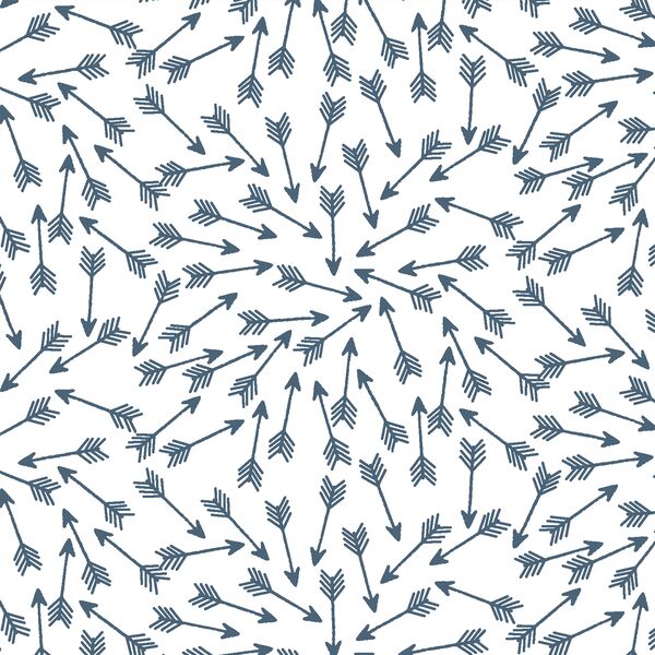 Arrows in Twilight on White