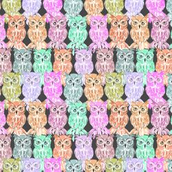 Owls in Night