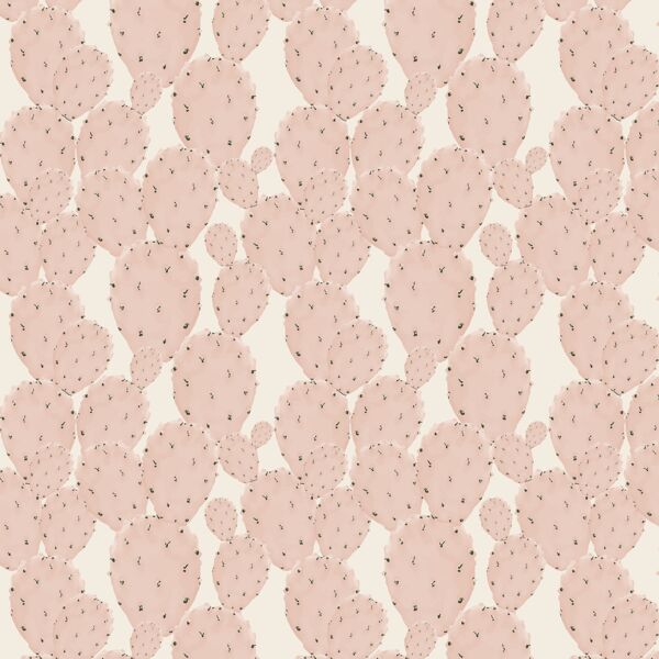 Cactus in Pink Sand