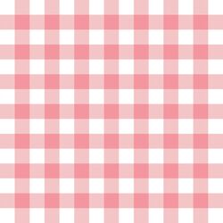 Gingham in Pink