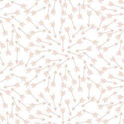 Arrows in Shell on White