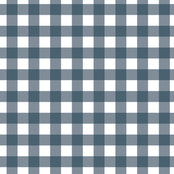 Gingham in In the Navy