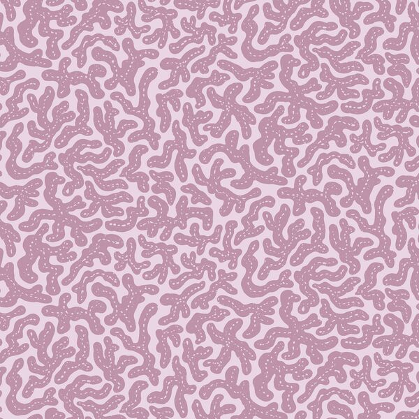Coral Chorale in Sands