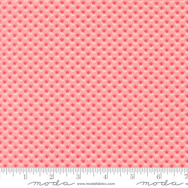 June in Blush