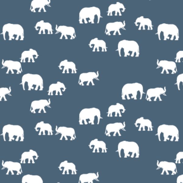 Elephant Silhouette in Twilight