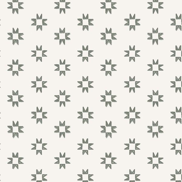 Stamped Barn Star in Wander