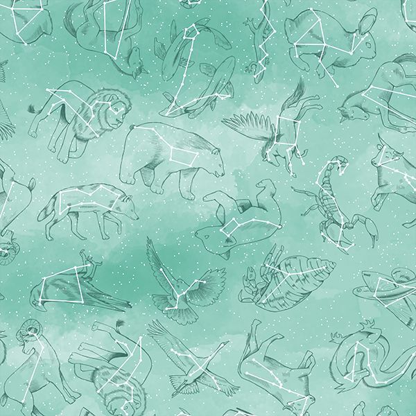 Constellations in Succulent